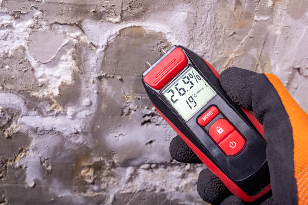 Best Toxic Mold Removal  in Yakima, WA