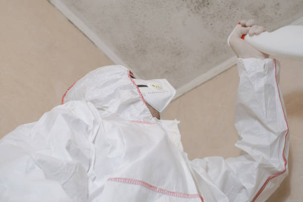 Crawl Space Mold Removal in Yakima, WA